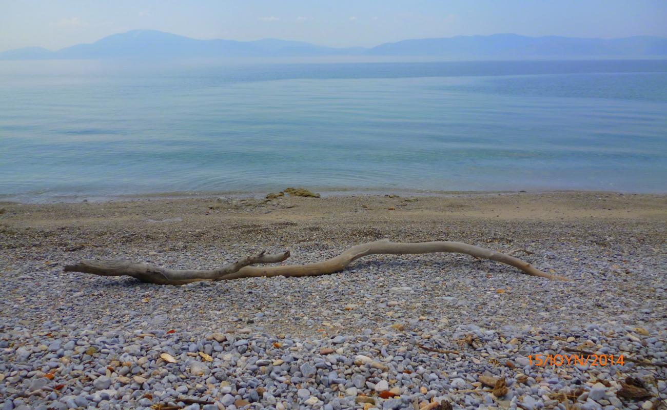 Фото Dafnonta 2 beach с серая чистая галька поверхностью