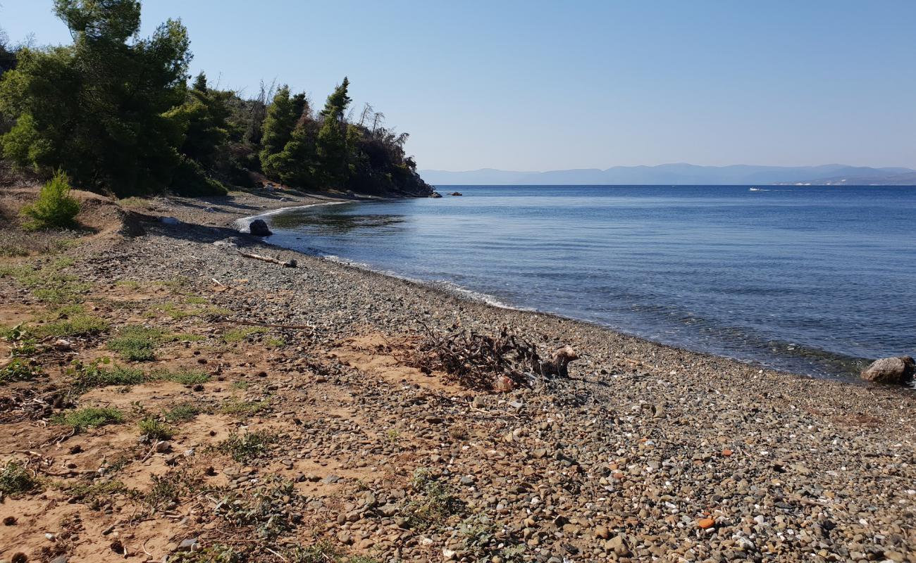 Фото Galataki beach с темная чистая галька поверхностью