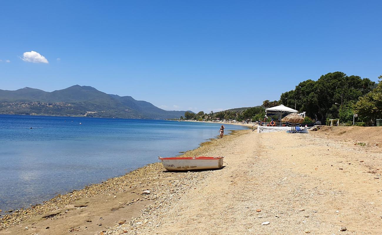 Фото Maounis beach с песок с галькой поверхностью