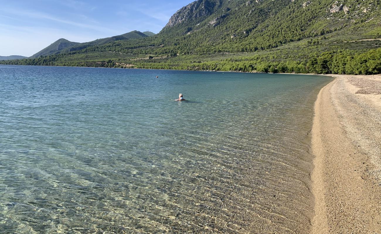 Фото Gregolimano beach с светлый песок поверхностью