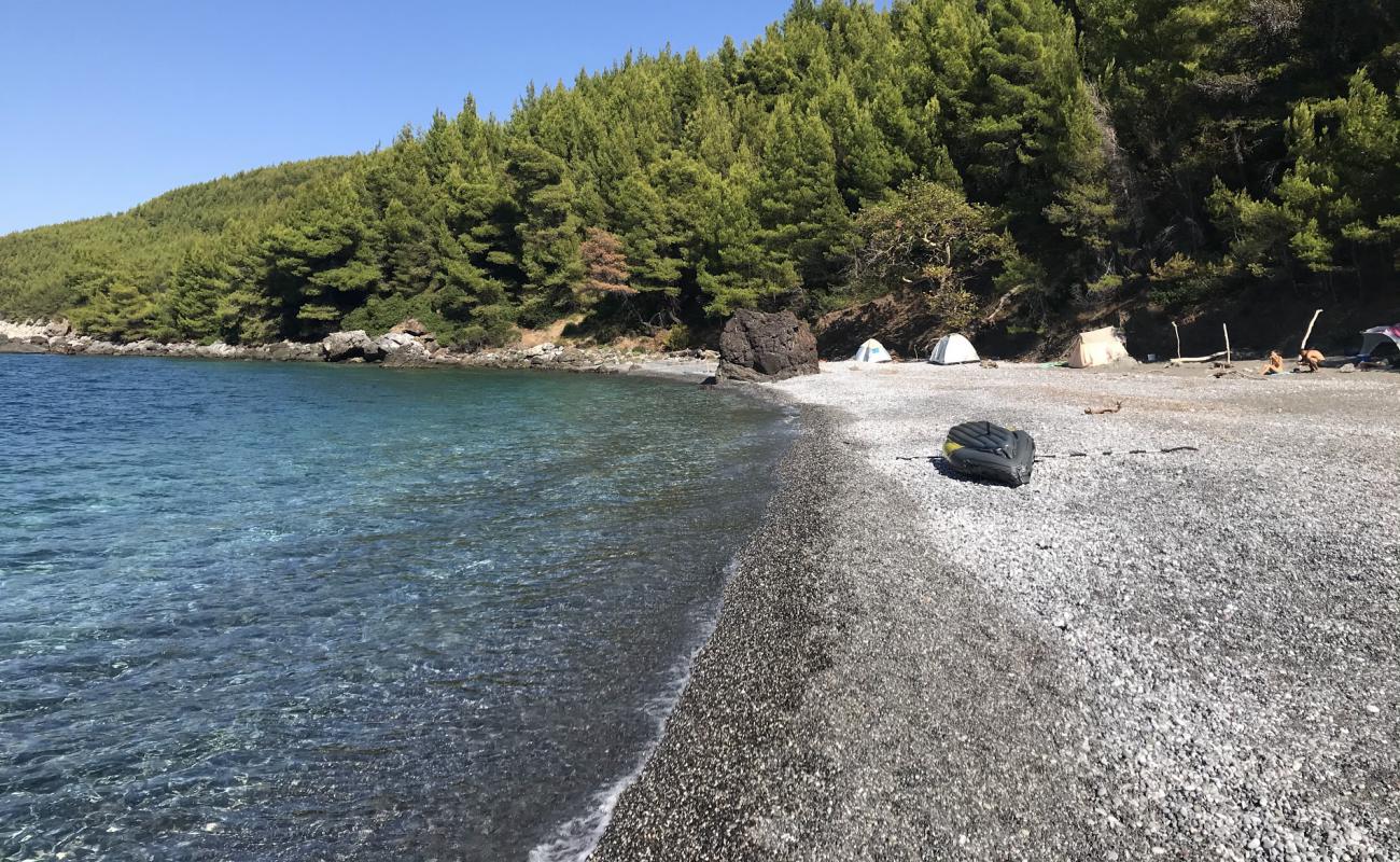 Фото Karbouna beach с серая чистая галька поверхностью