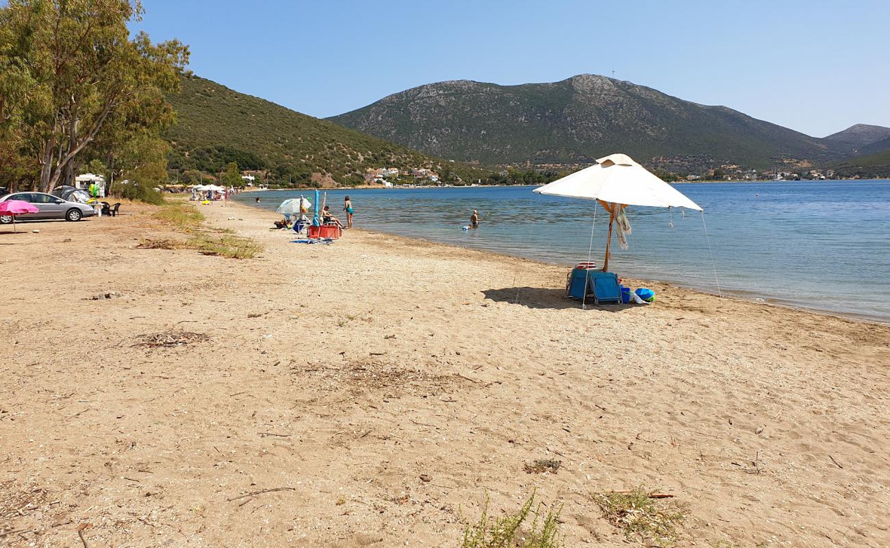 Фото Almyropotamos beach с песок с галькой поверхностью