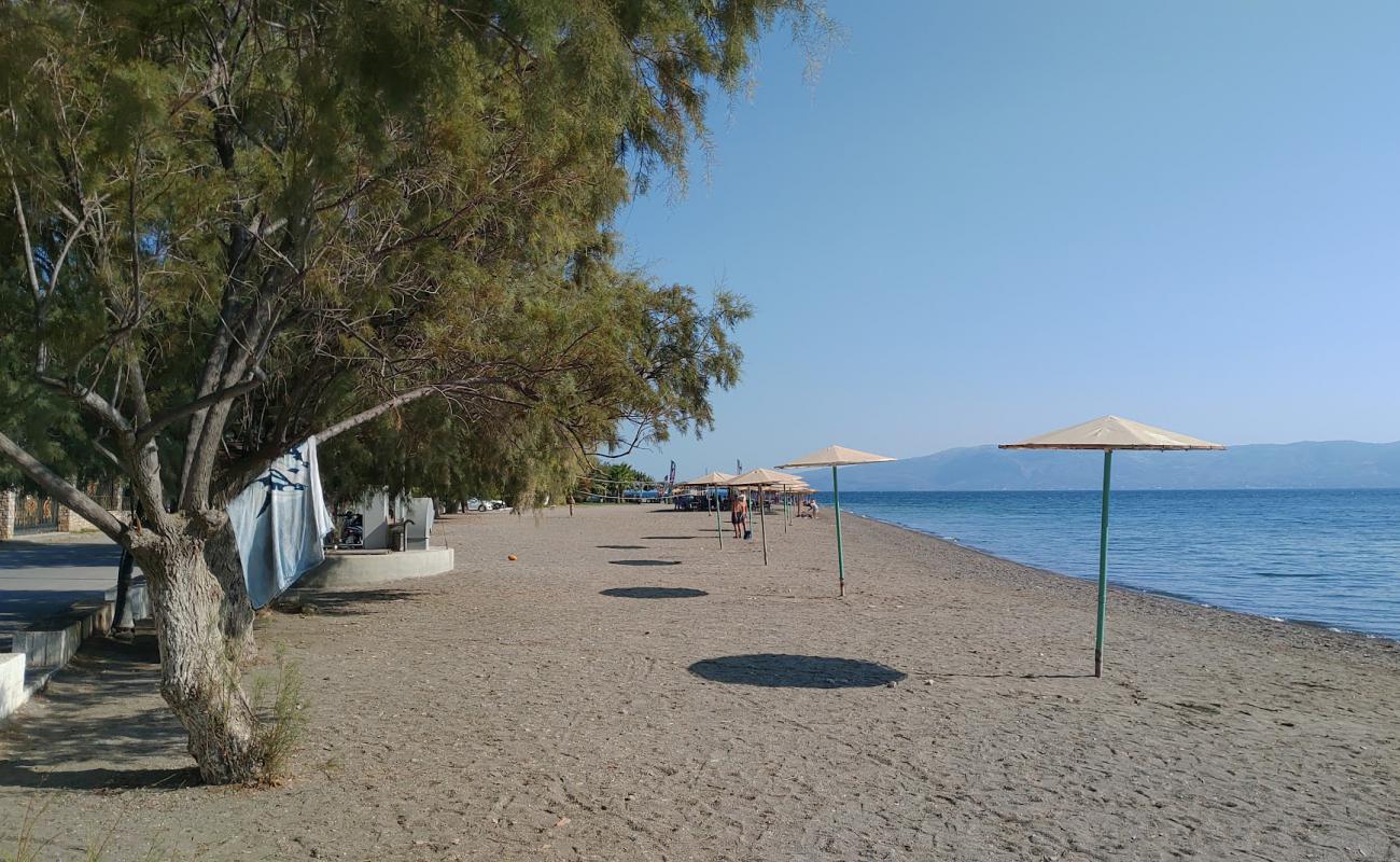 Фото Amarynthos beach с песок с галькой поверхностью