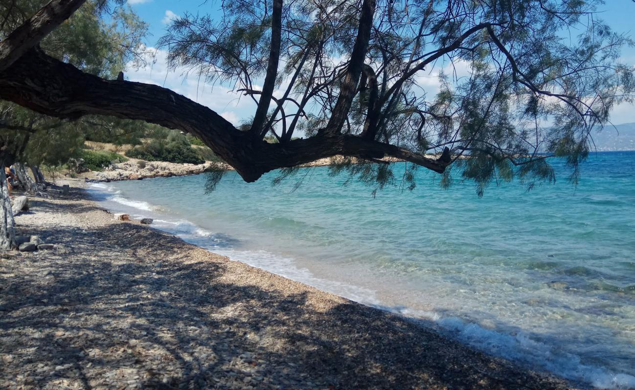 Фото Pounda beach с песок с галькой поверхностью