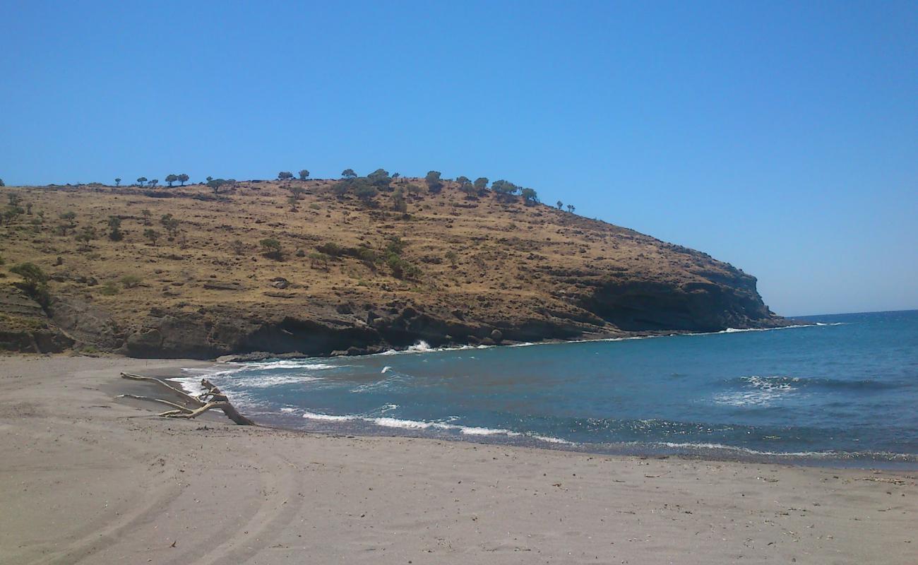 Фото Agios Dimitrios beach с серый песок поверхностью