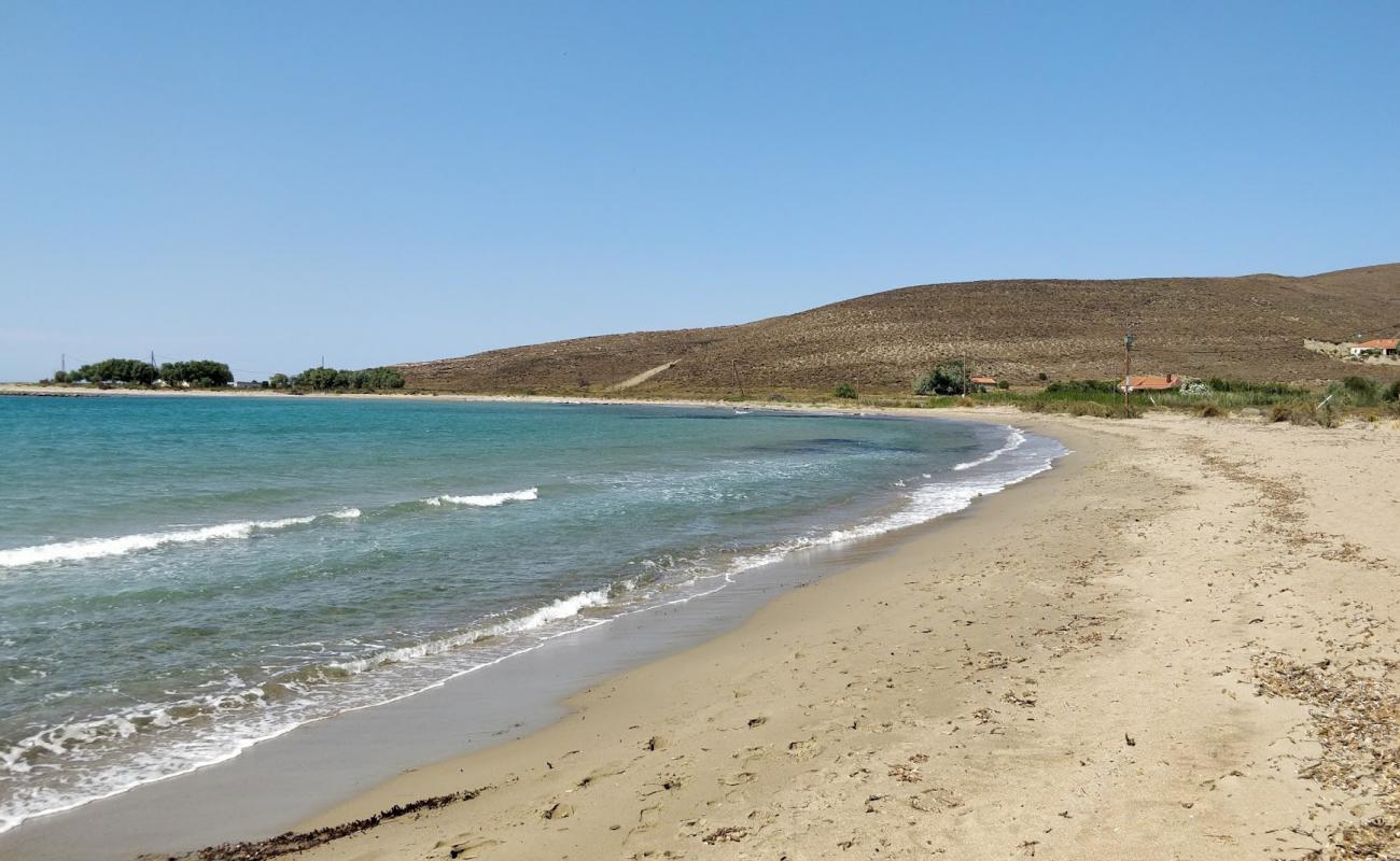 Фото Neftina beach с темный чистый песок поверхностью