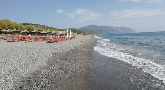 Vatera beach