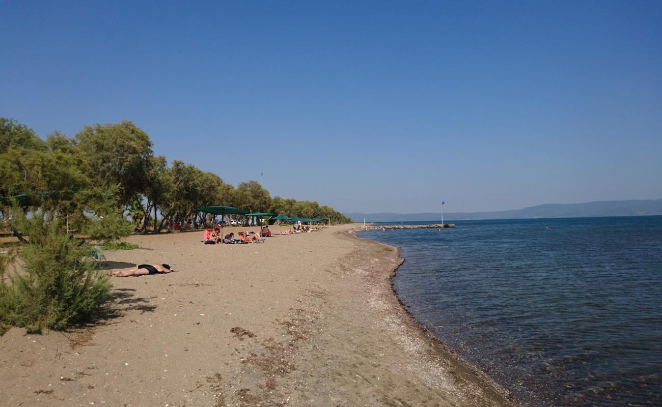 Фото Kalloni beach II с светлый песок поверхностью