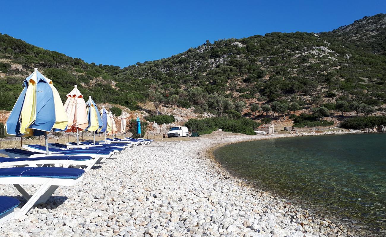 Фото Gerakas beach с камни поверхностью