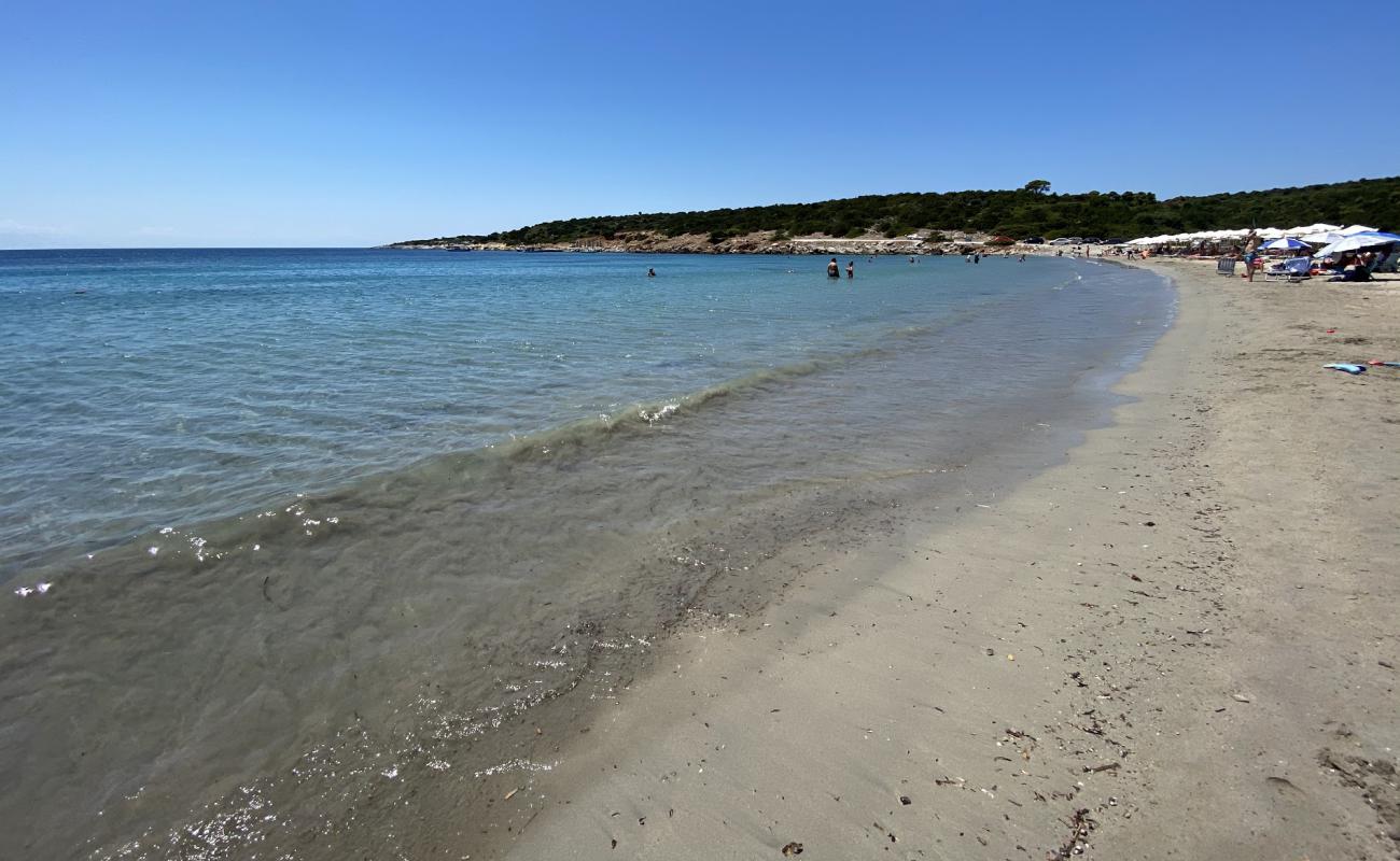 Фото Kalogria beach с светлый песок поверхностью