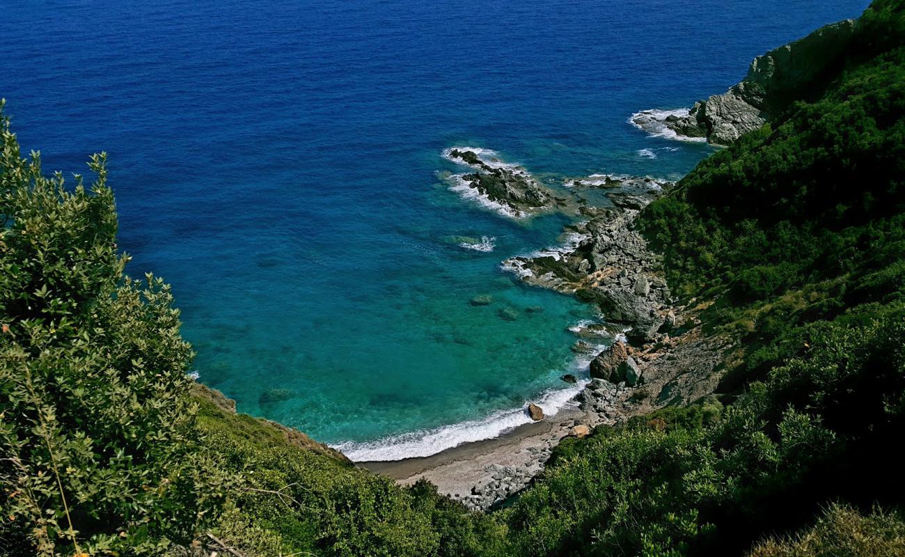 Фото Marie beach с золотой ракушечник поверхностью