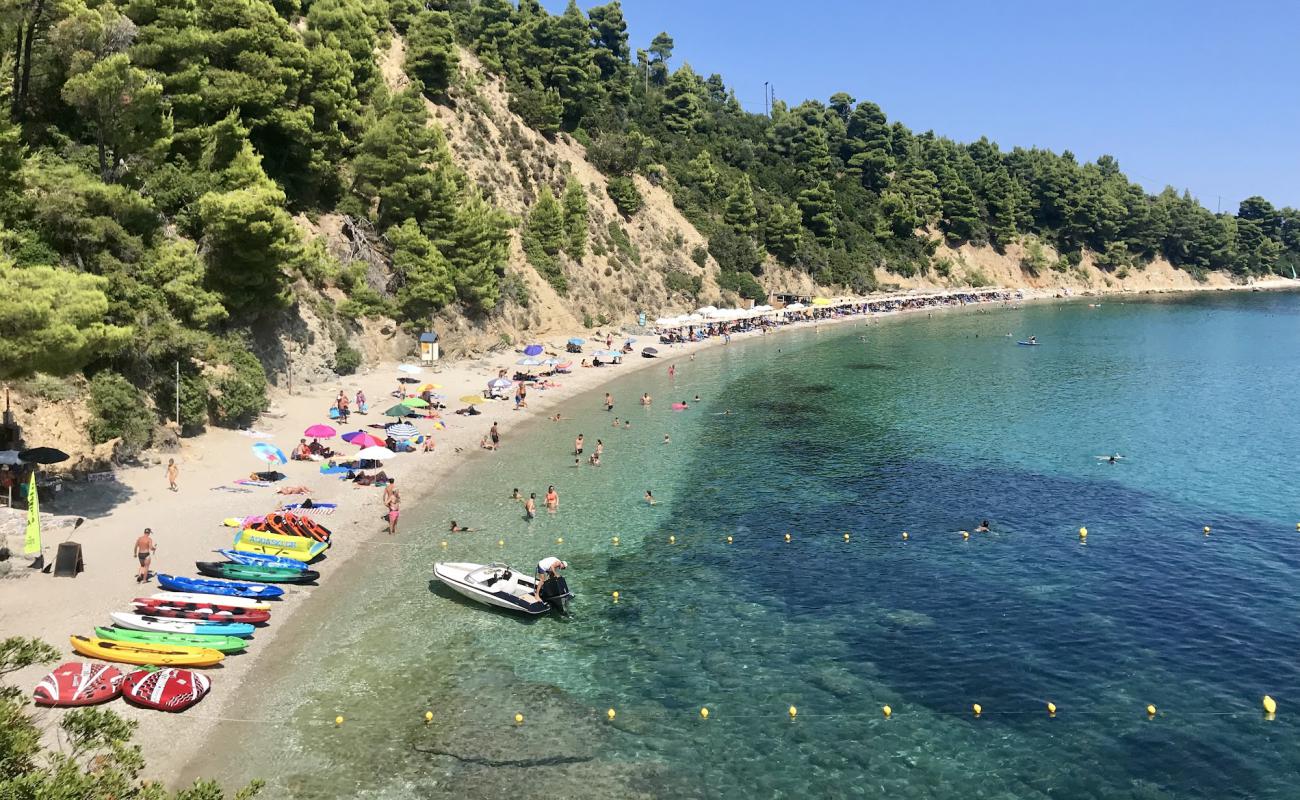 Фото Stafilos beach с темная чистая галька поверхностью