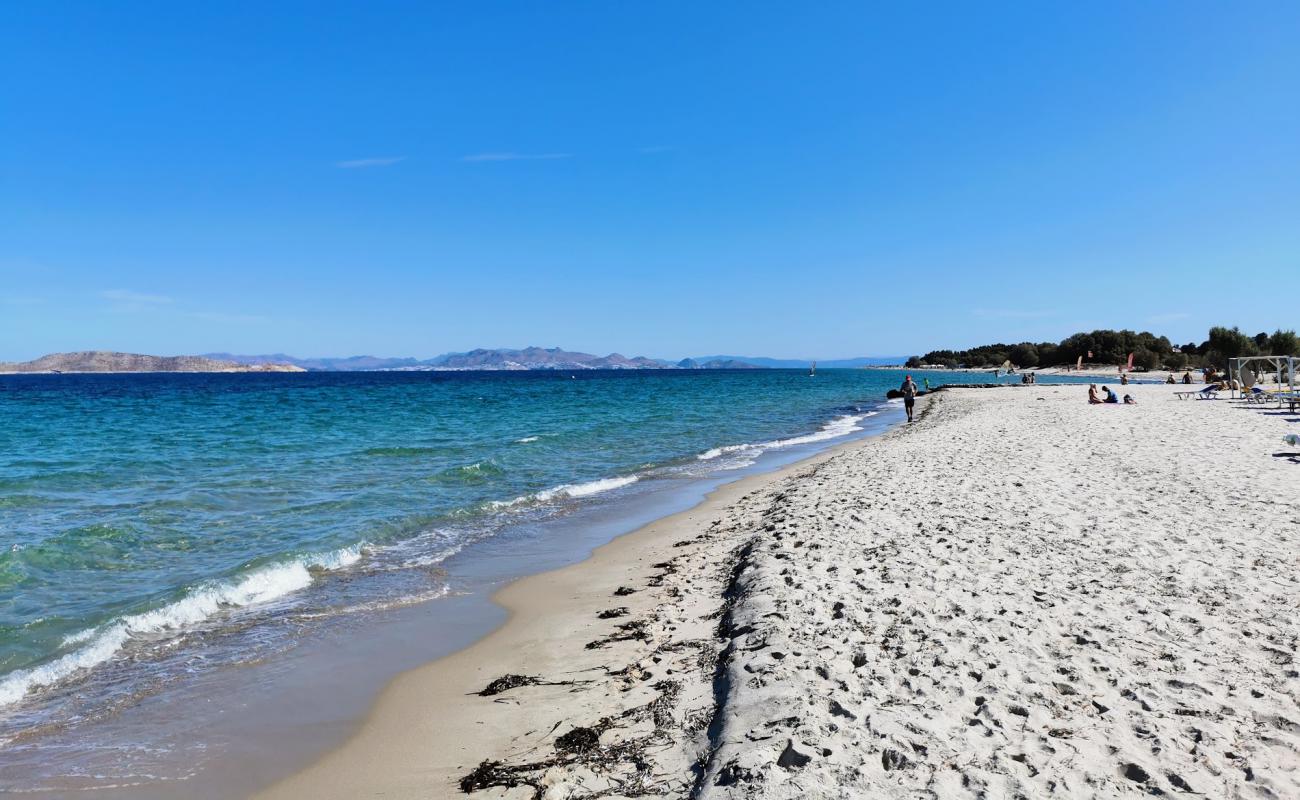 Фото Stella Maris beach с светлый песок поверхностью