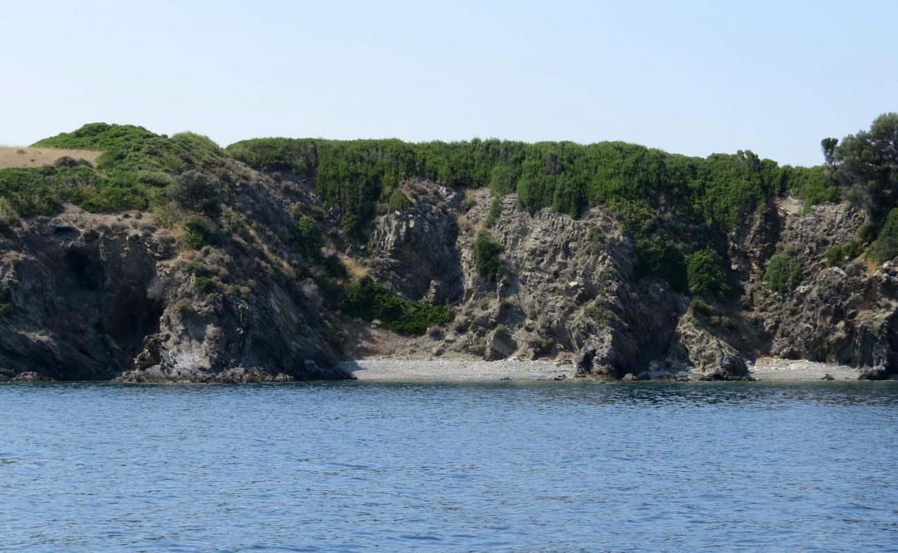 Фото Sithonia beach с светлая галька поверхностью