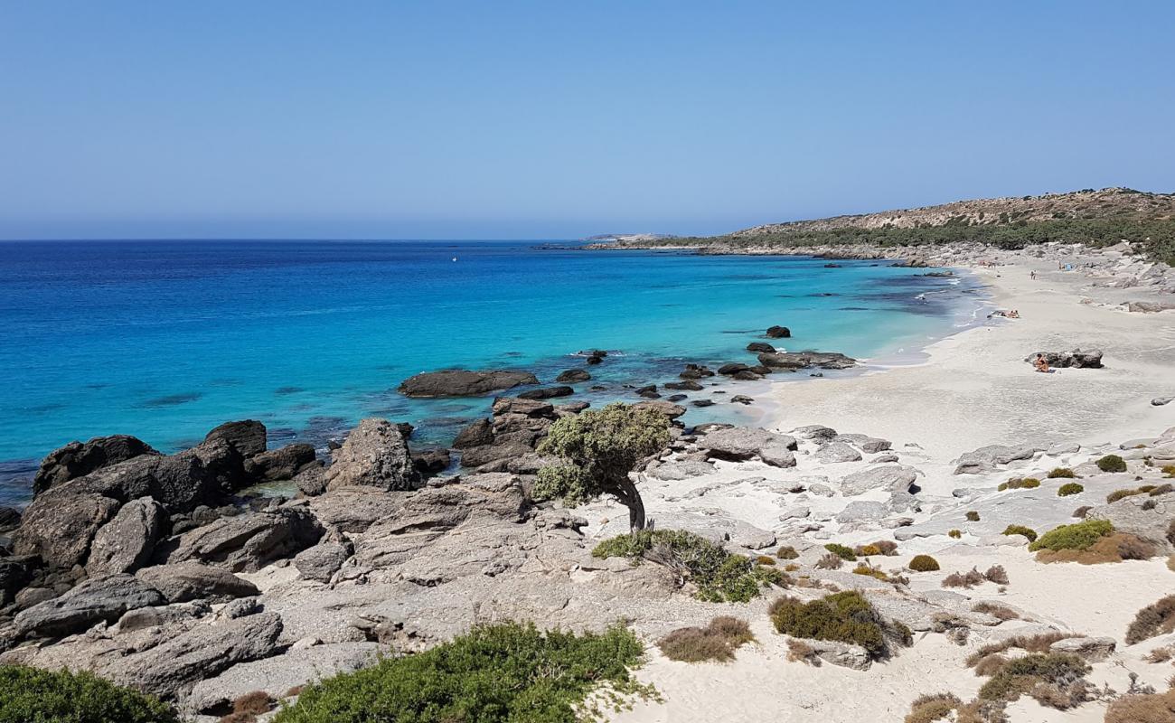 Фото Kedrodasos Beach с светлый песок поверхностью