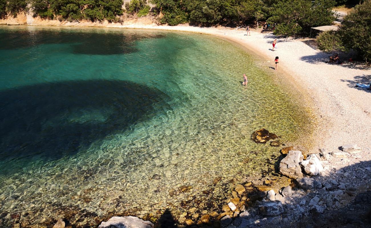 Фото Kourvoulia beach II с белая чистая галька поверхностью