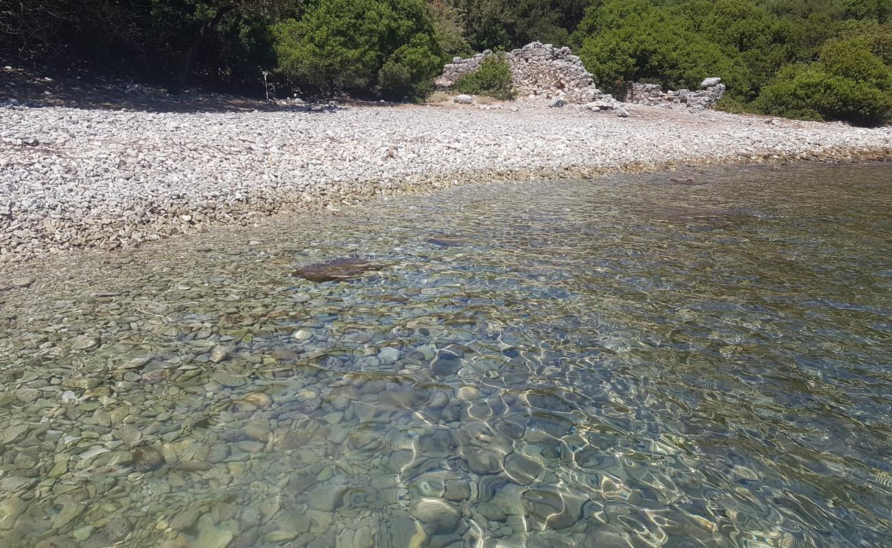 Фото Piglet Bear Bay с светлая галька поверхностью