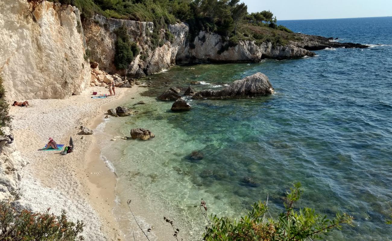 Фото Crocodile beach с светлая галька поверхностью