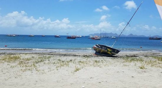 Petite Martinique beach