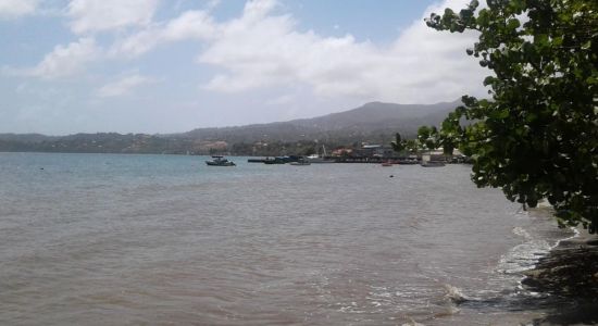 Grenville Bay beach