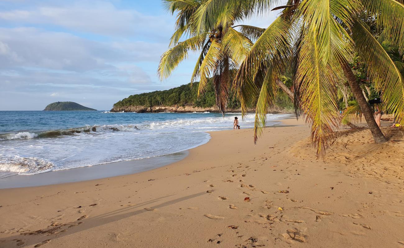 Фото Plage de la Perle с темный песок поверхностью