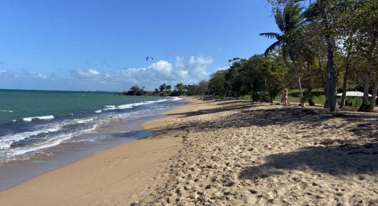 Plage des Amandiers