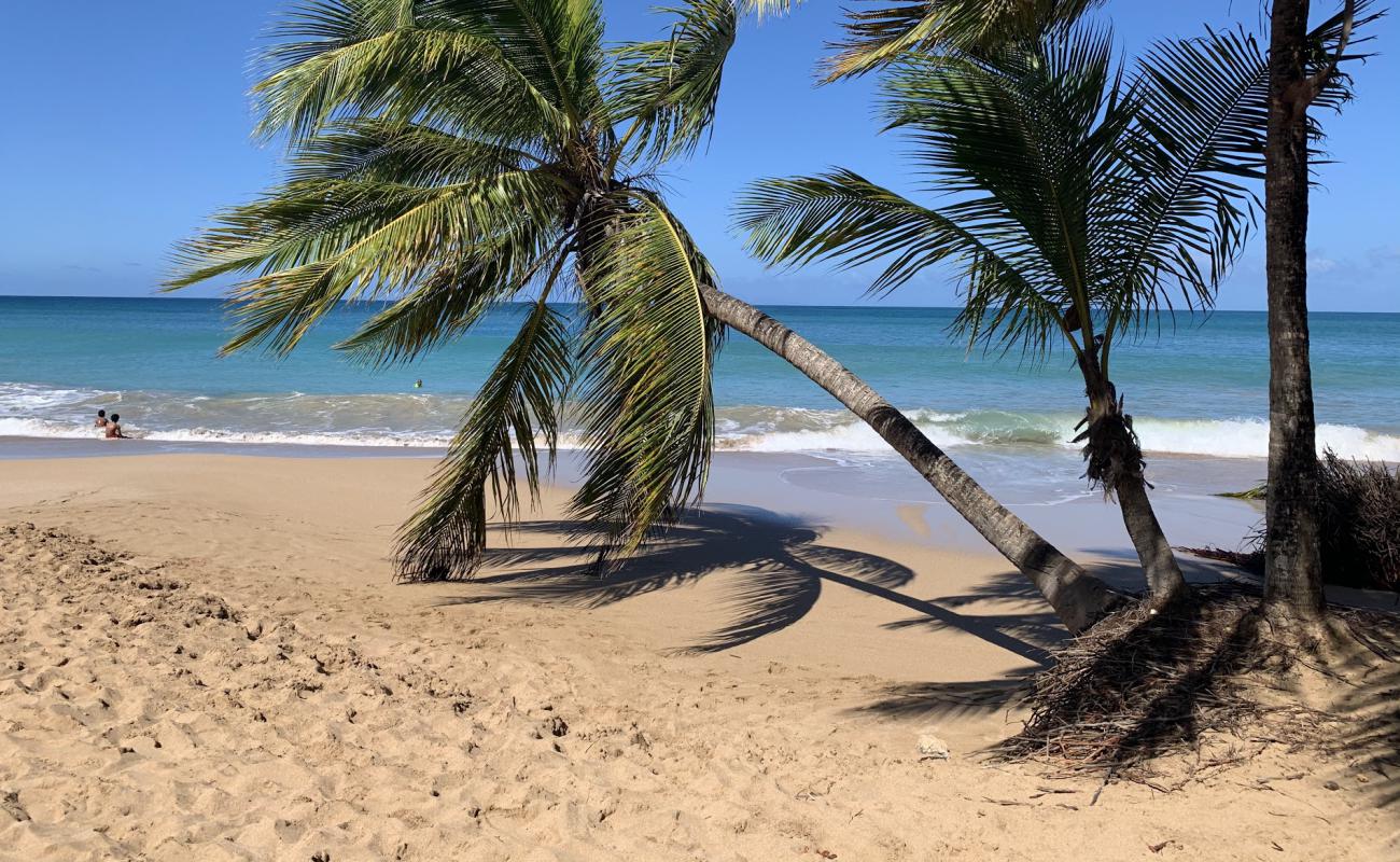 Фото Plage de la Caravelle с светлый песок поверхностью