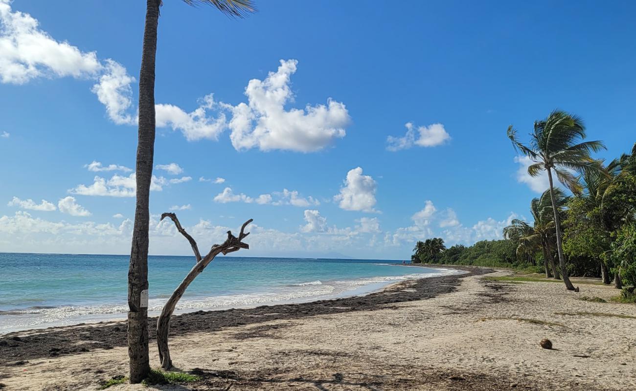 Фото Plage des Salines с светлый песок поверхностью