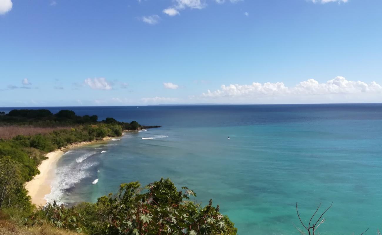 Фото Le Gosier Beach с светлый песок поверхностью