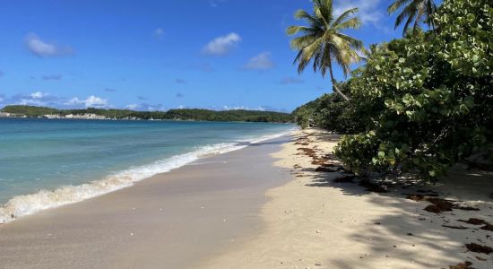 Plage Moustique