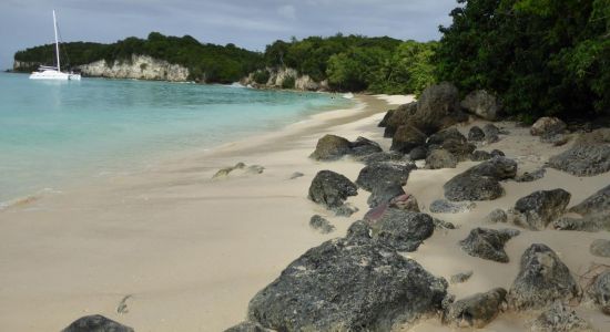 Marie Galante beach