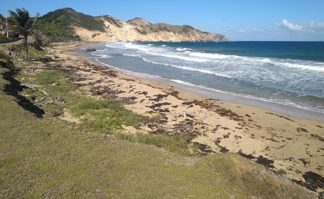 Фото Plage de Grande Anse с светлый песок поверхностью