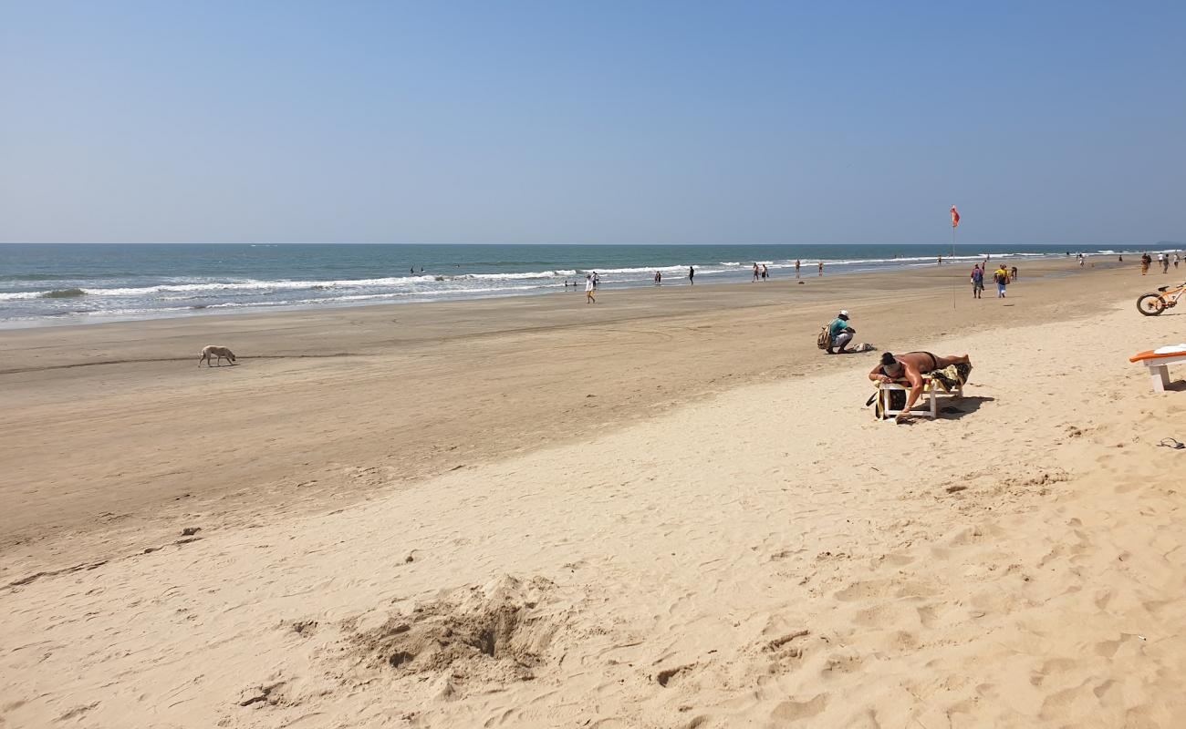 Фото Mandrem Beach с золотистый песок поверхностью