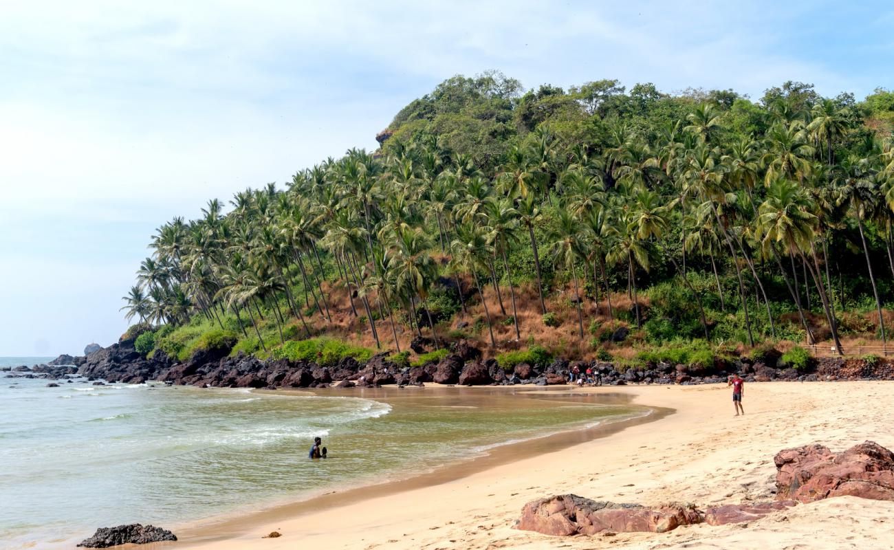 Фото Cabo de Rama Beach с светлый песок поверхностью