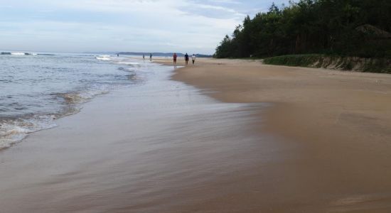 Alvekodi Beach