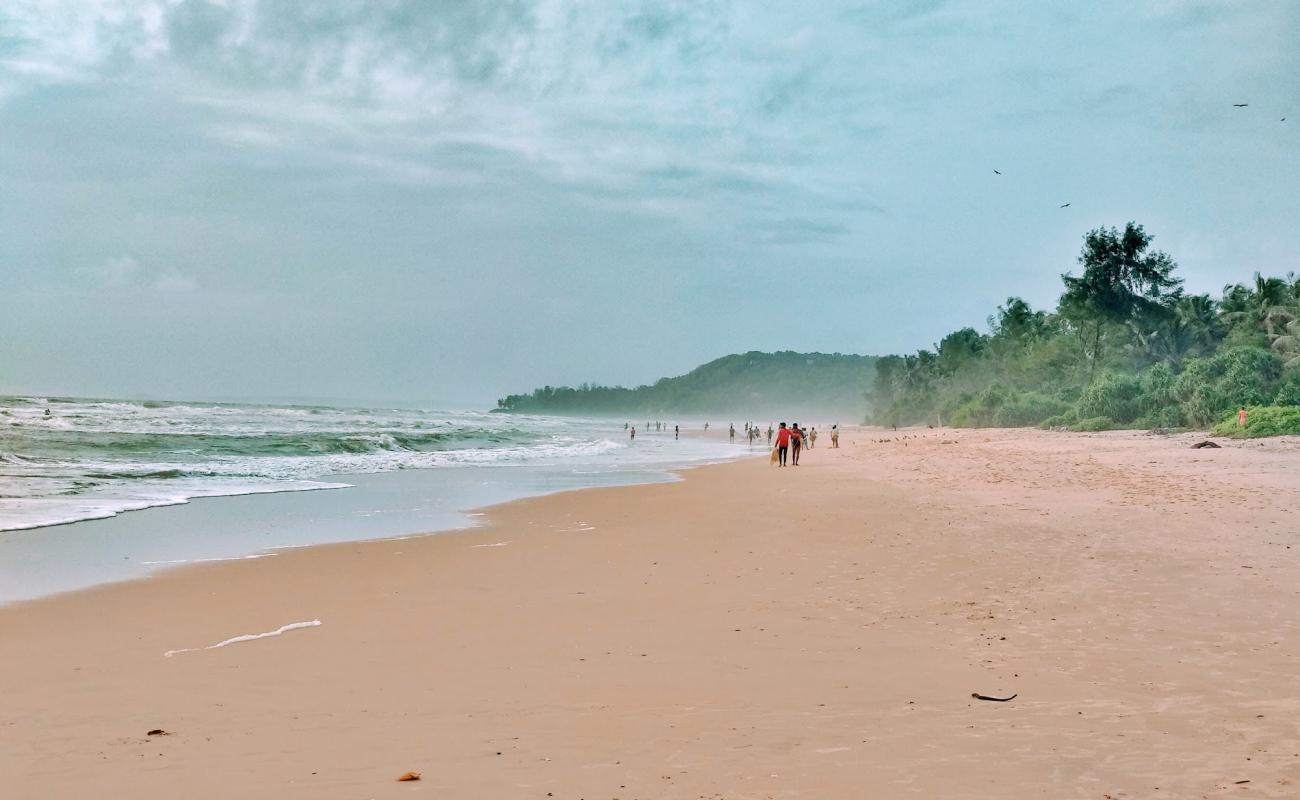 Фото Alivekodi Beach с светлый песок поверхностью