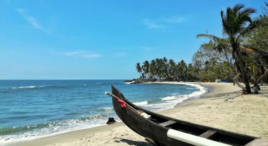 Puthenthodu Beach