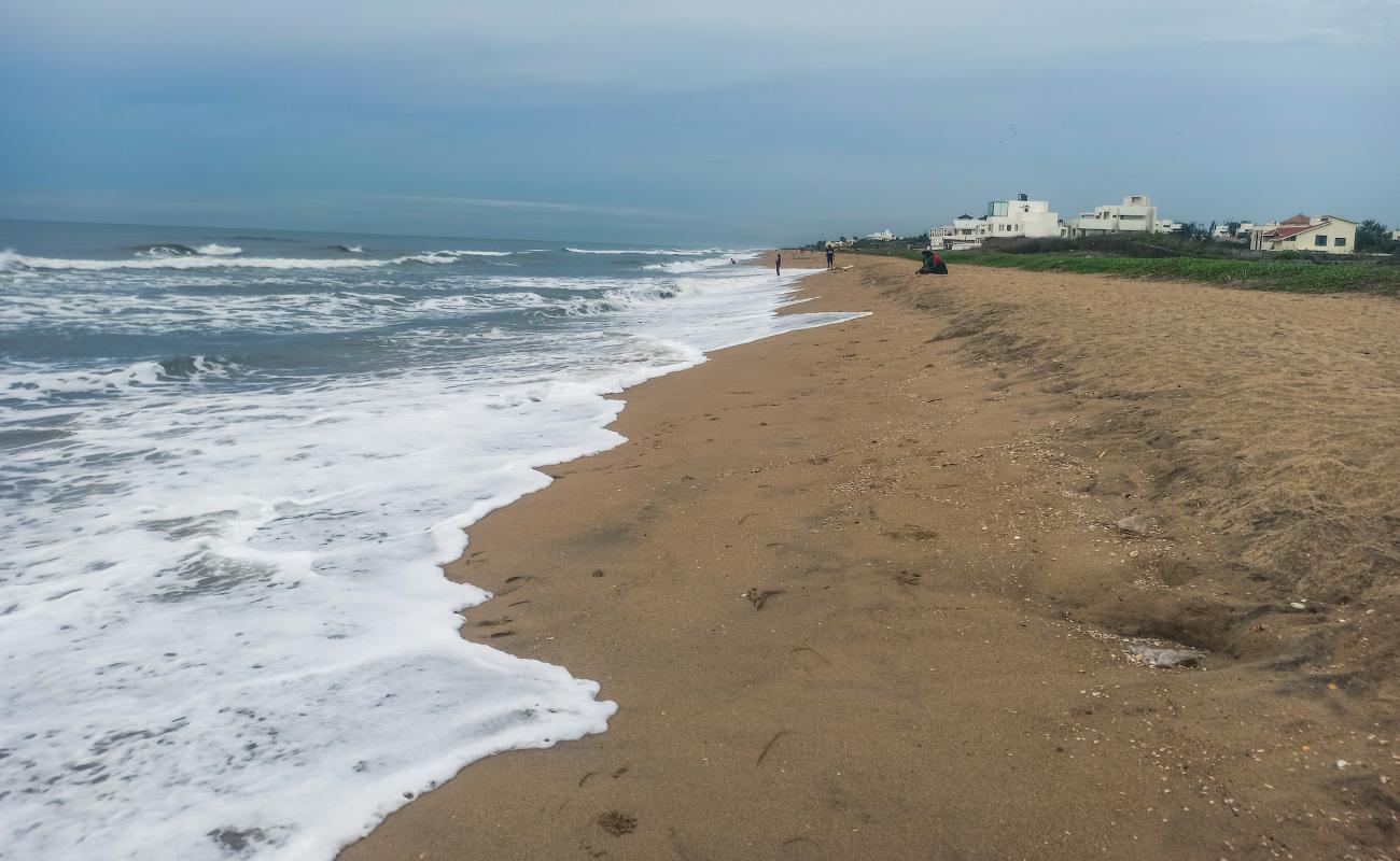 Фото Olive Beach с светлый песок поверхностью