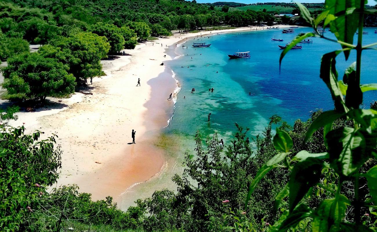 Фото Pink Beach Lombok с розовый песок поверхностью