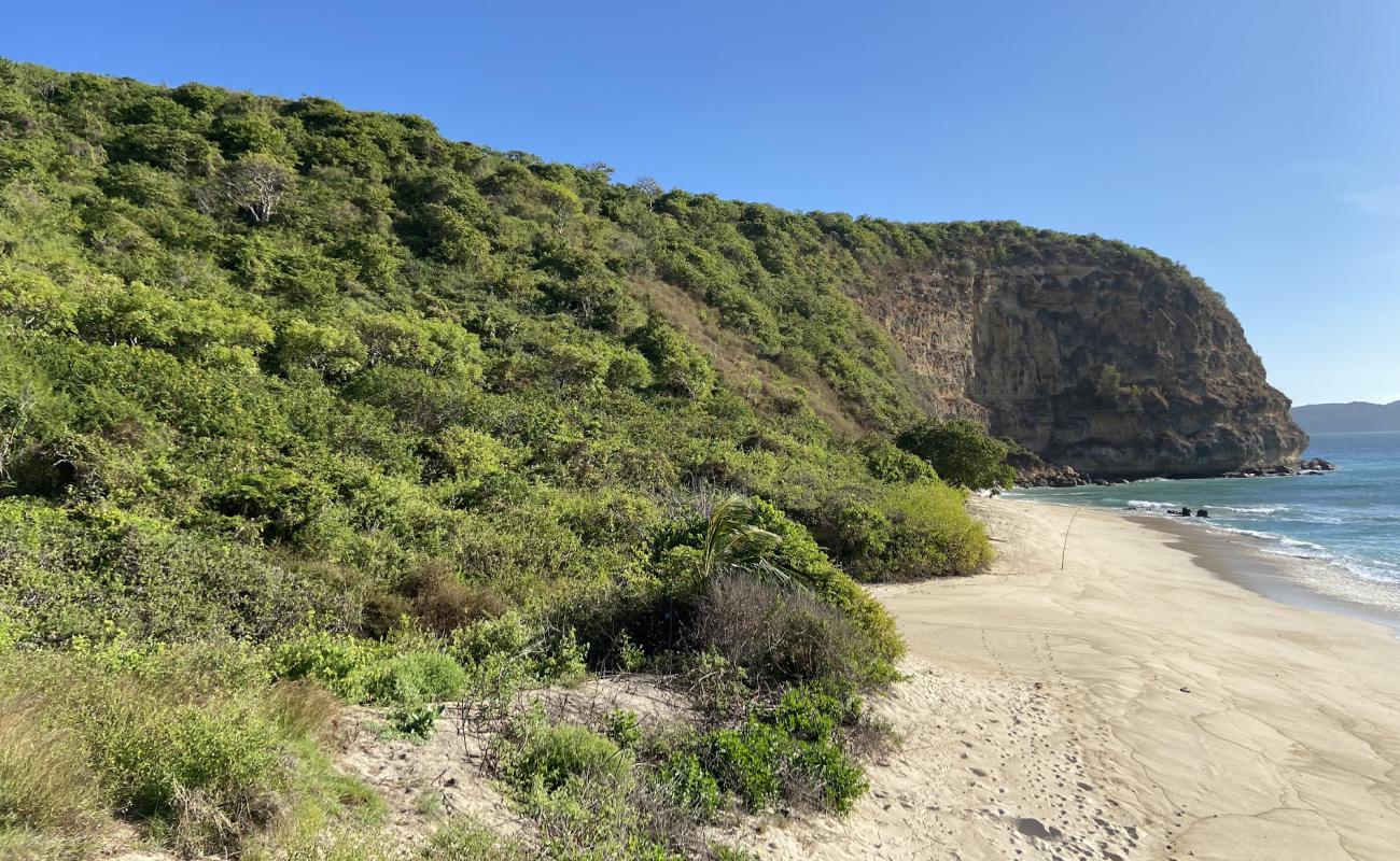 Фото Pendoek Beach с светлый песок поверхностью