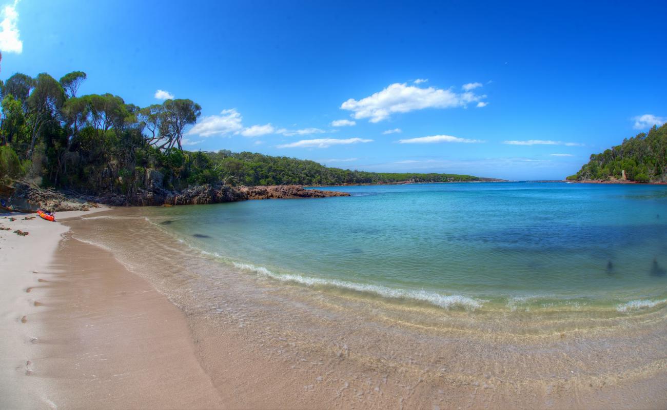 Фото Bittangabee Bay с светлый песок поверхностью