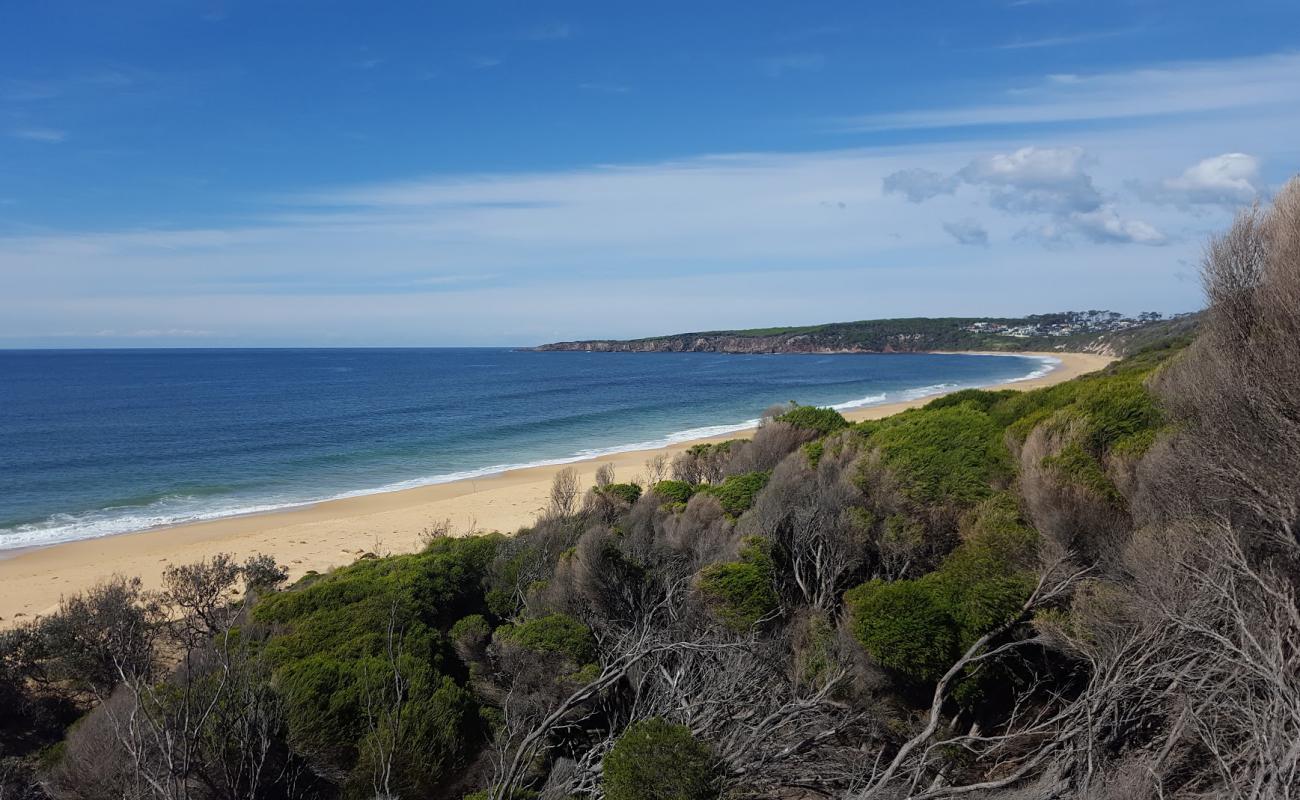 Фото Bournda Beach с светлый песок поверхностью