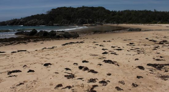 Mystery Beach