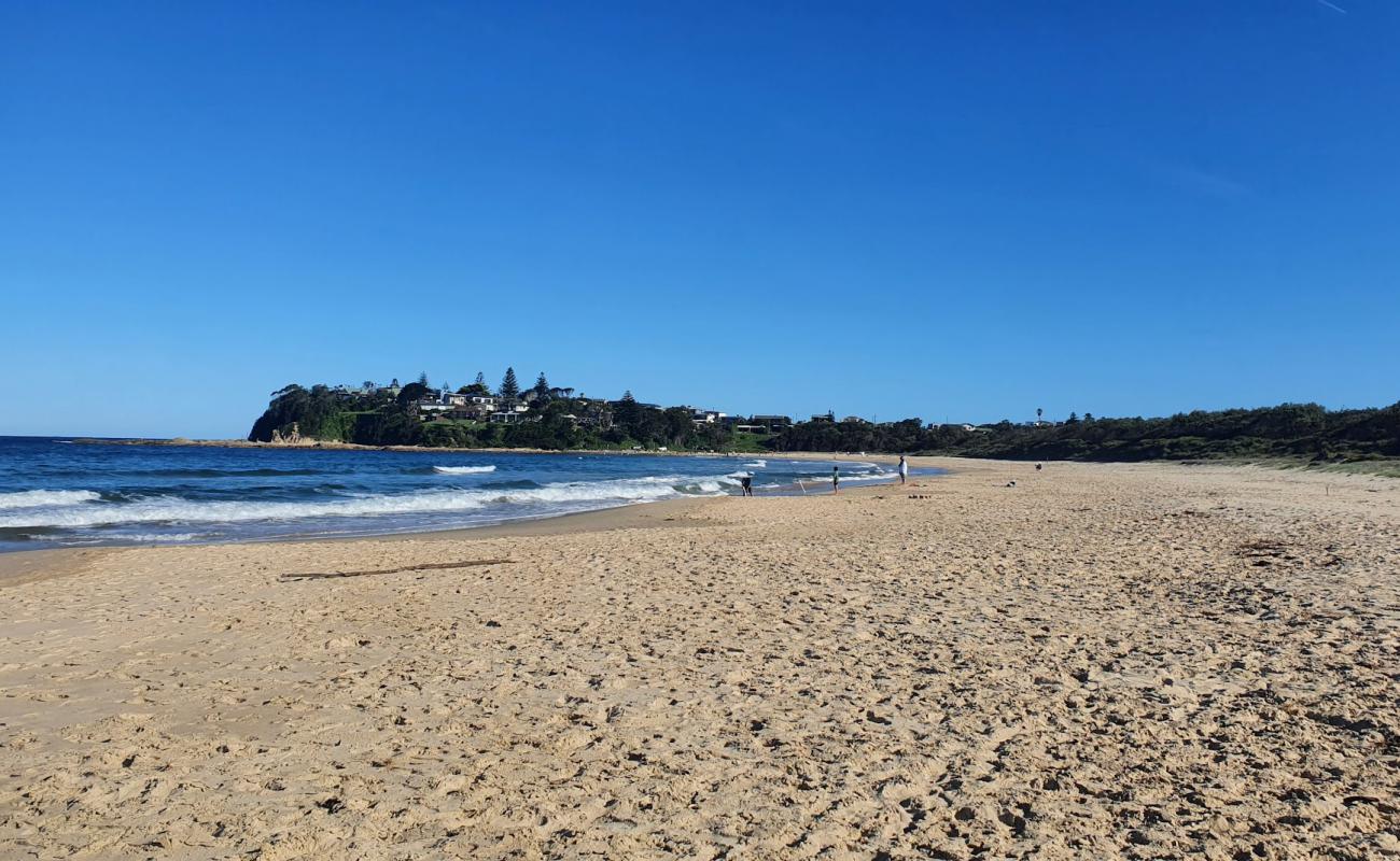 Фото Potato Point Beach с светлый песок поверхностью