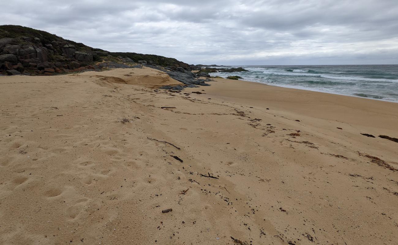 Фото Coila Beach с светлый песок поверхностью