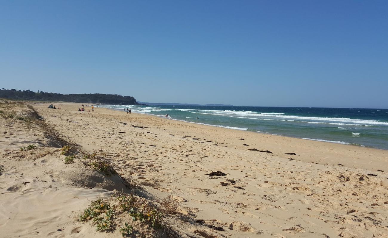 Фото South Head Beach с светлый песок поверхностью