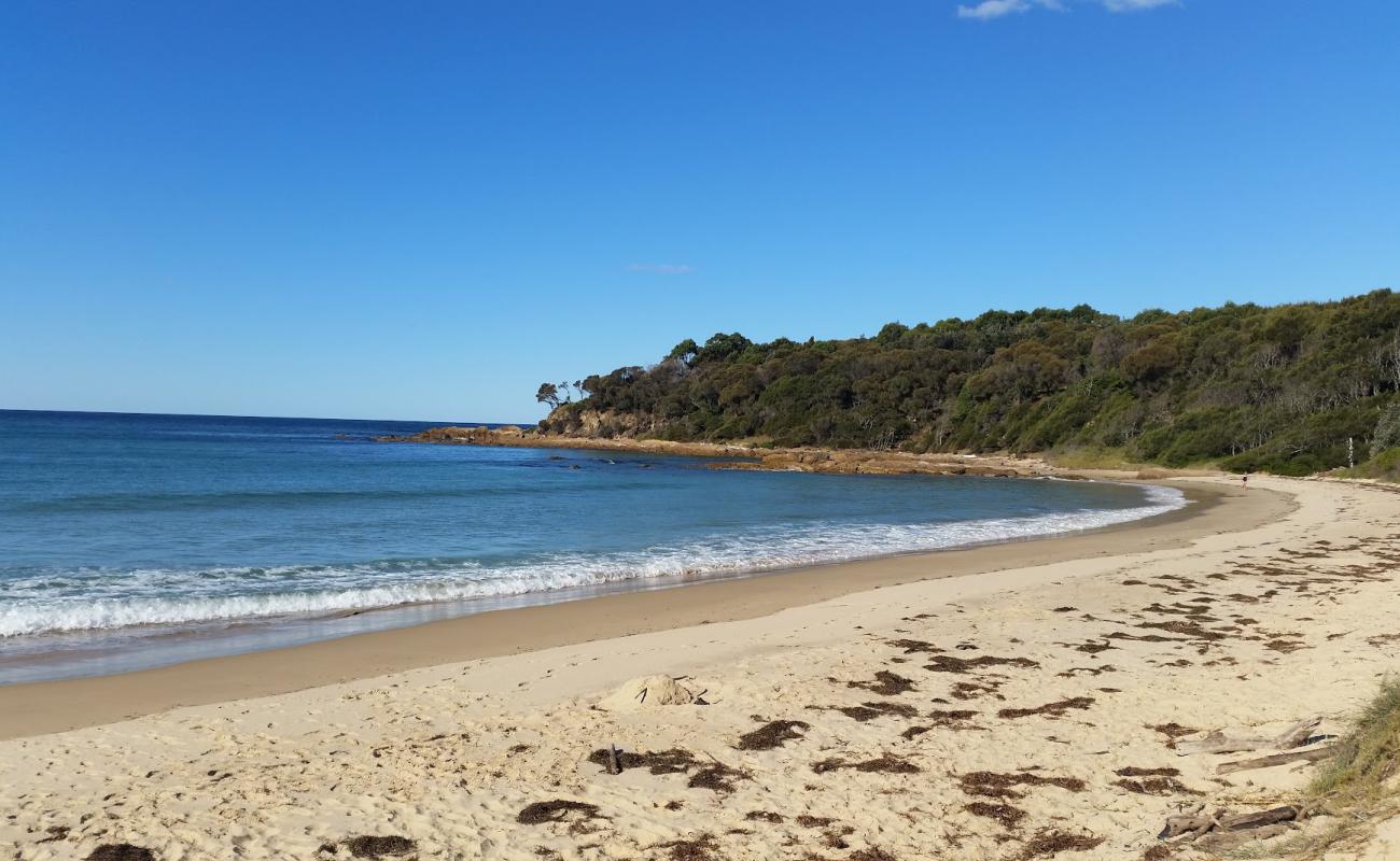 Фото Shelly Beach с светлый песок поверхностью