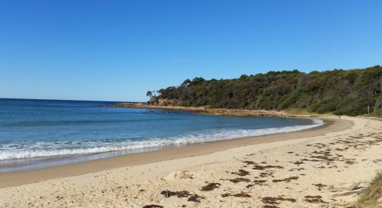 Shelly Beach