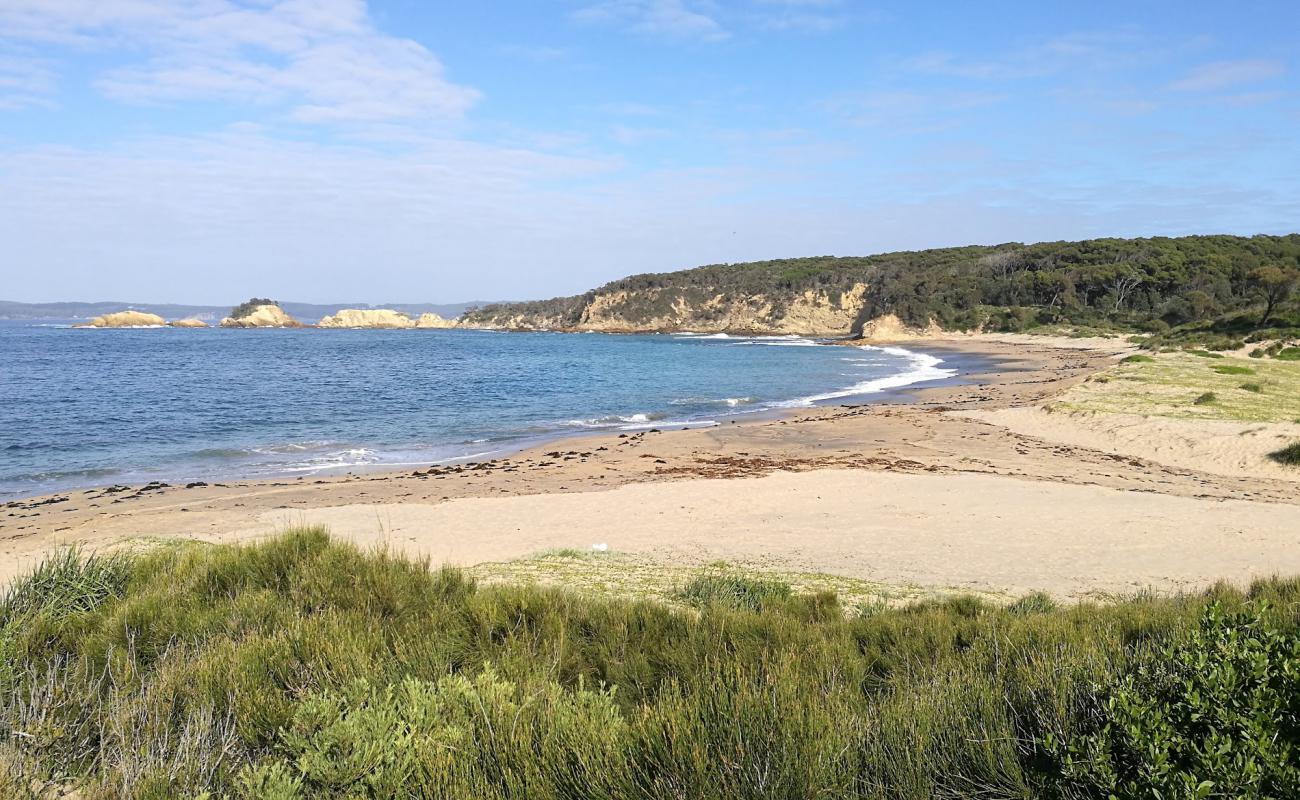 Фото North Head Beach с светлый песок поверхностью