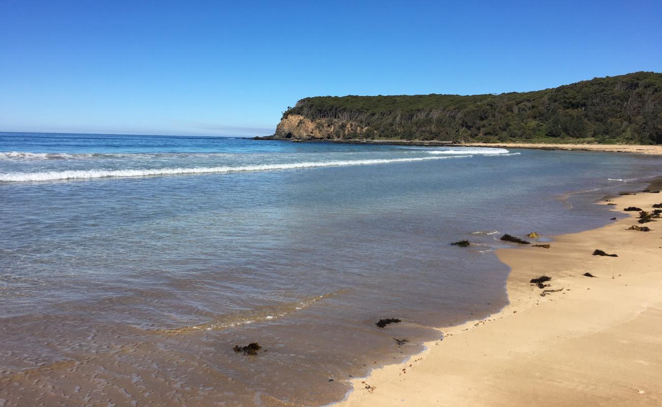 Фото Oaky Beach с светлый песок поверхностью